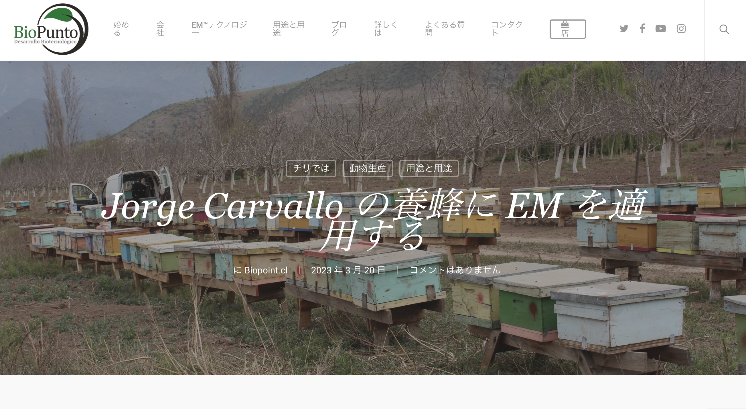 【海外パートナー情報】：【チリ】『Jorge Carvallo の養蜂に EM を適用する』 | biopunto.cl