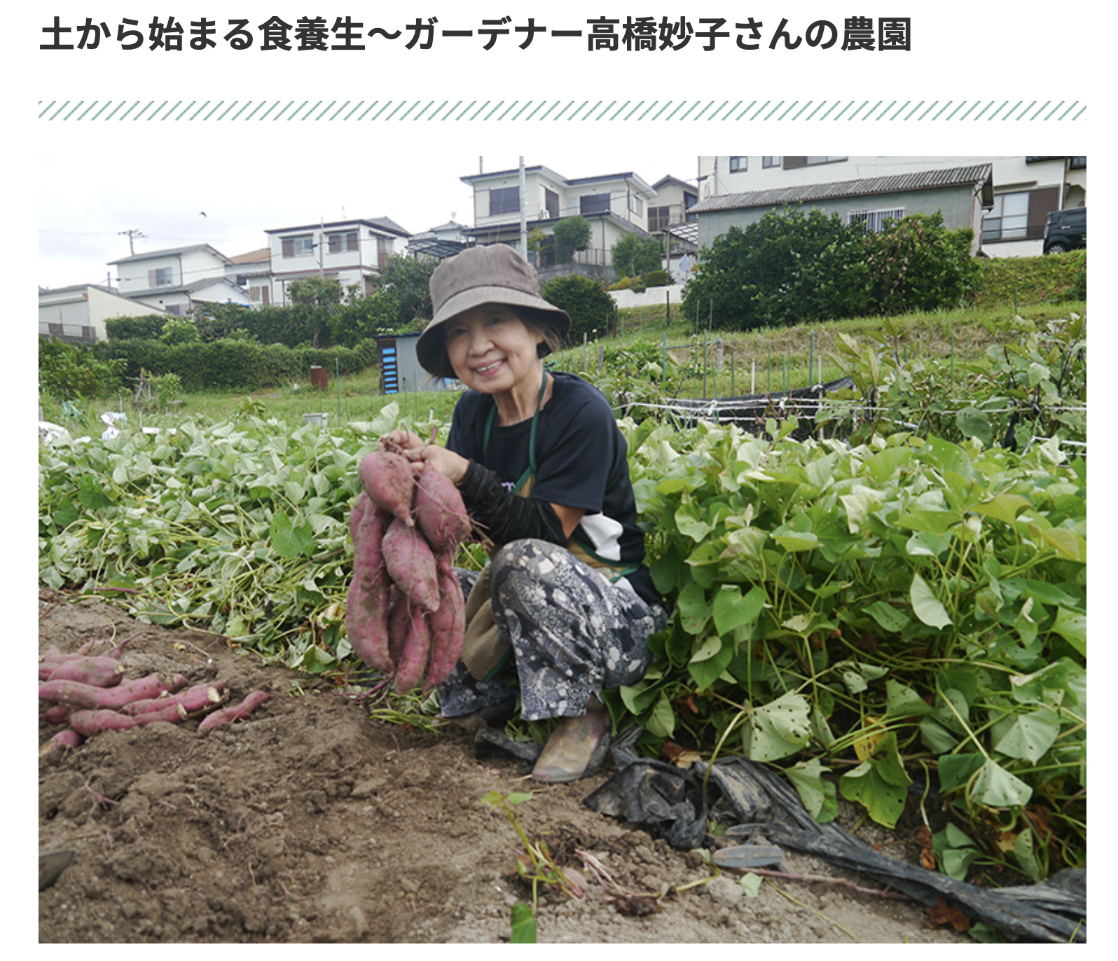 【レポート】土から始まる食養生～ガーデナー高橋妙子さんの農園　｜　ウェブエコピュア