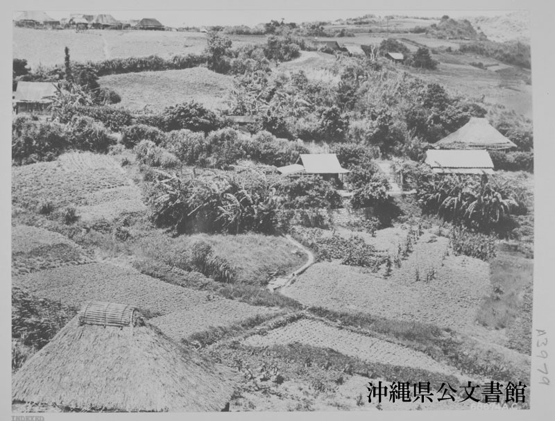 1948年の沖縄 沖縄県公文書館所蔵