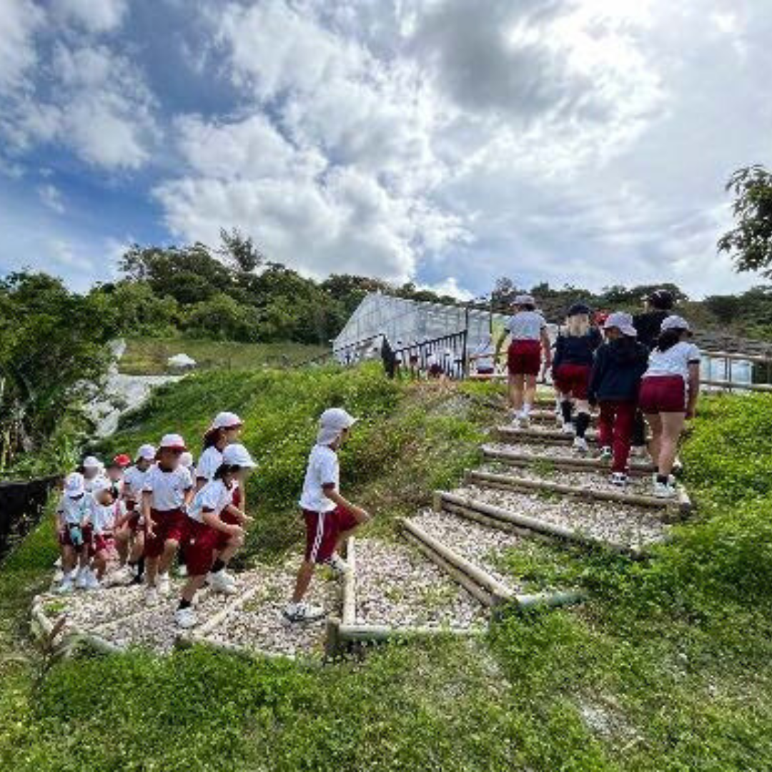 「北中城村　EMユニバーサルビレッジプロジェクト」の学童農園