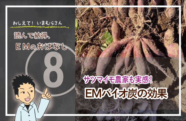 サツマイモ農家も実感！EMバイオ炭の効果 | WEBエコピュア