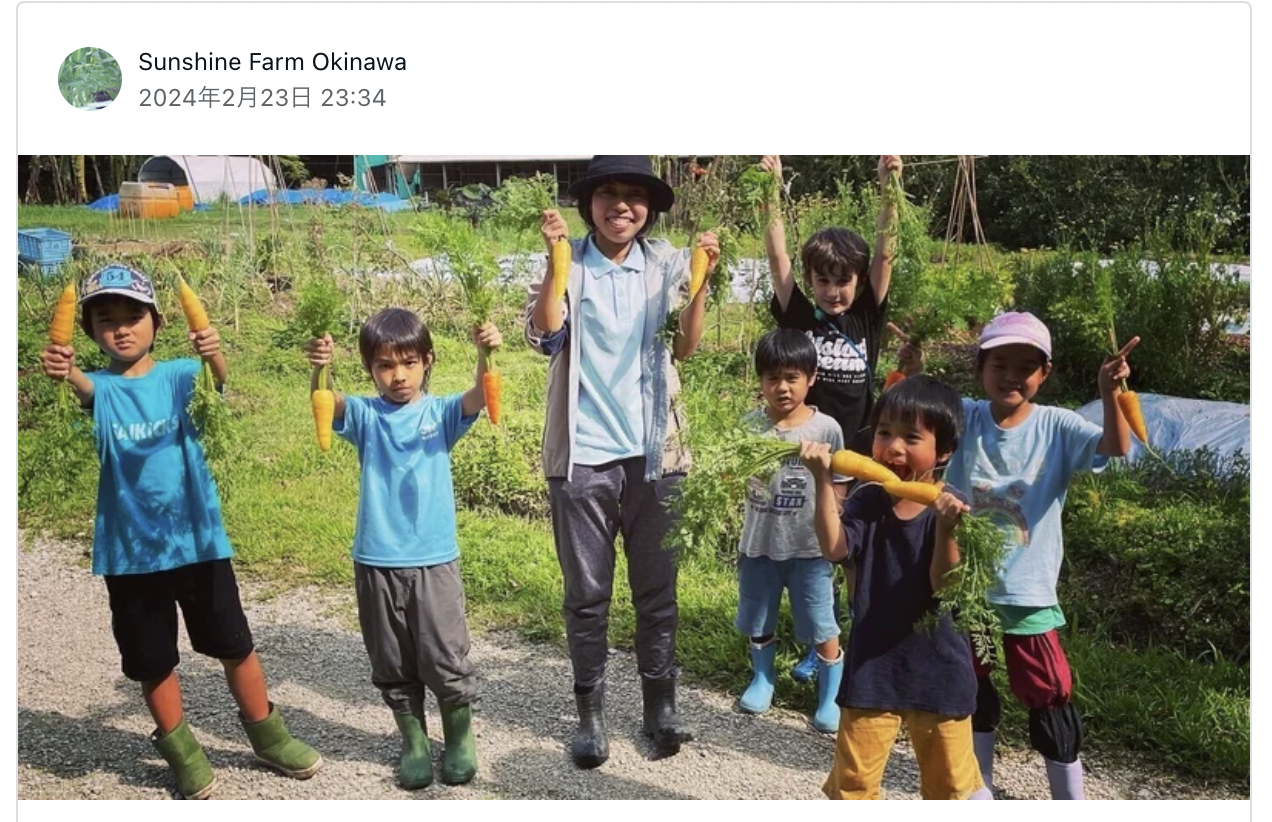 畑やろう！ コミュニティガーデンへのお誘い | Sunshine Farm Okinawa