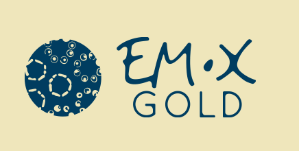 EM・X　GOLD 